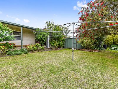 17 Holzgrefe Street, Millicent