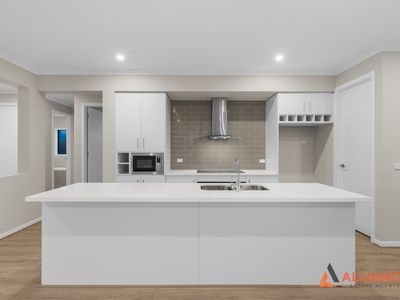 19 Cheddar Street, Donnybrook