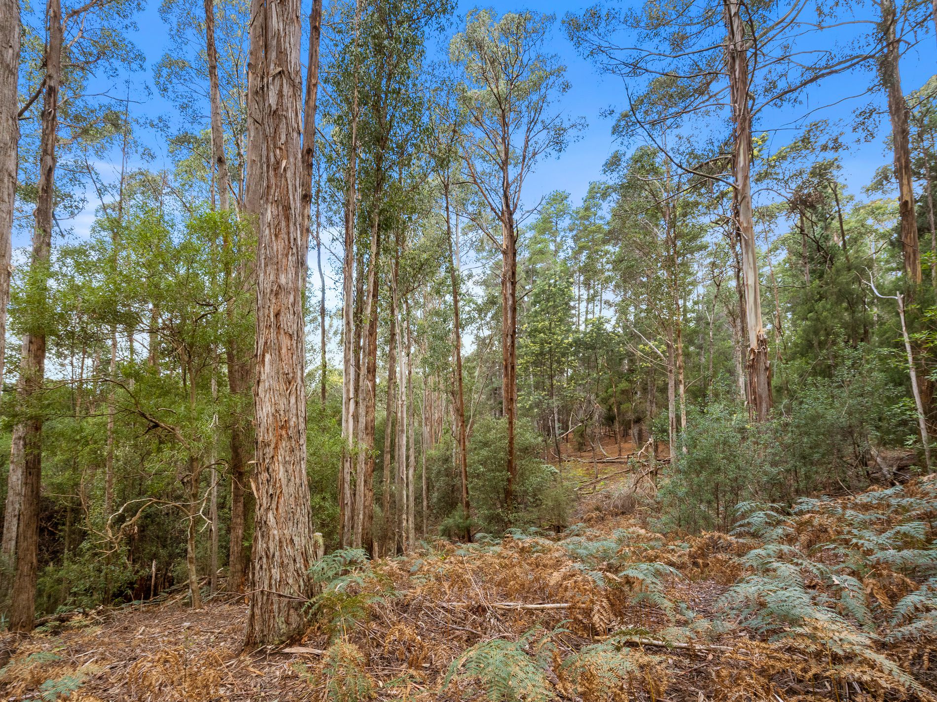 39 Coxs Road, Middleton
