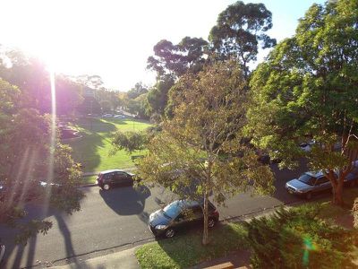 31 Mill Street, Carlton