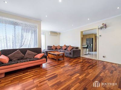 30 Cosier Drive, Noble Park