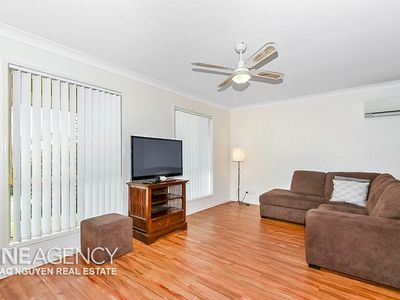 19 Colville Ct, Springfield