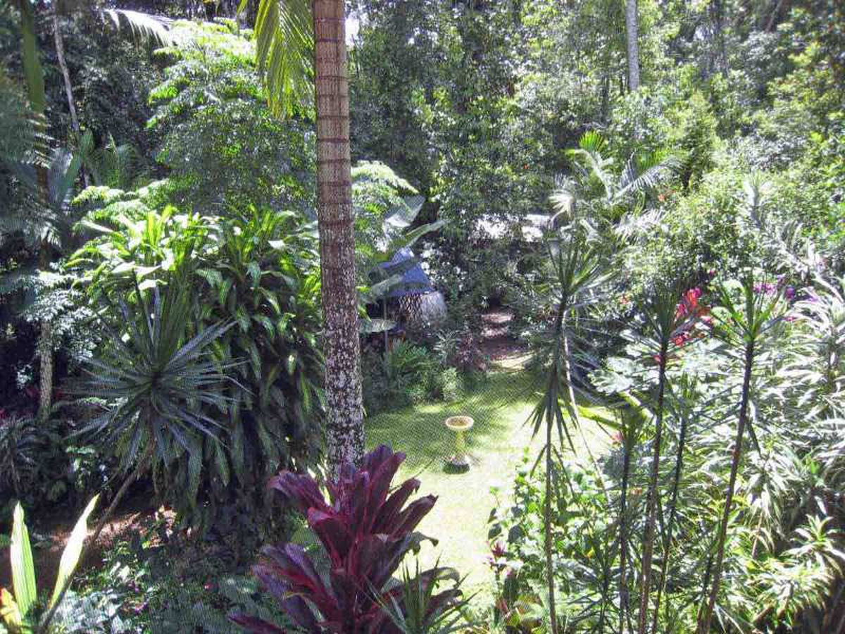 Malanda