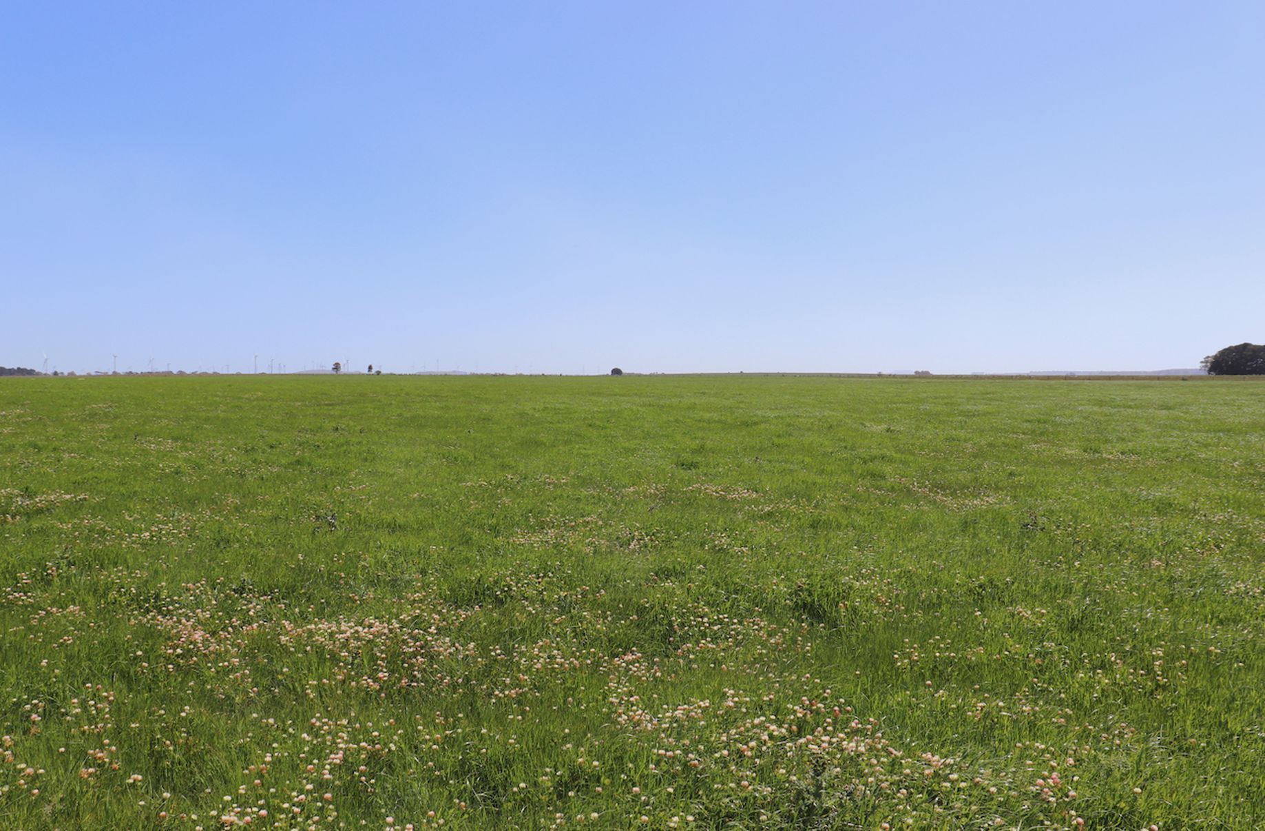 4 Shelford-Mt Mercer Road, Shelford