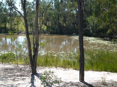 40 Olivers Road, Goodwood