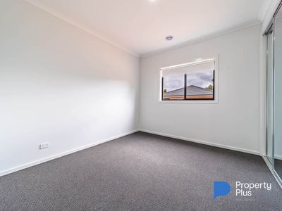 21 Eucalyptus Street, Jackass Flat