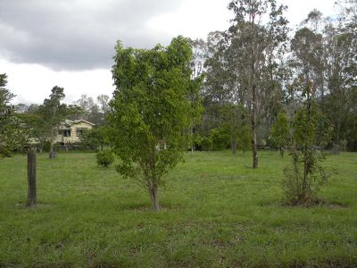 22 Mitchell Creek Road, Kandanga Creek