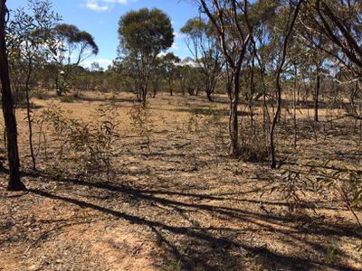 Lot 11 Gibson Road, Wedderburn