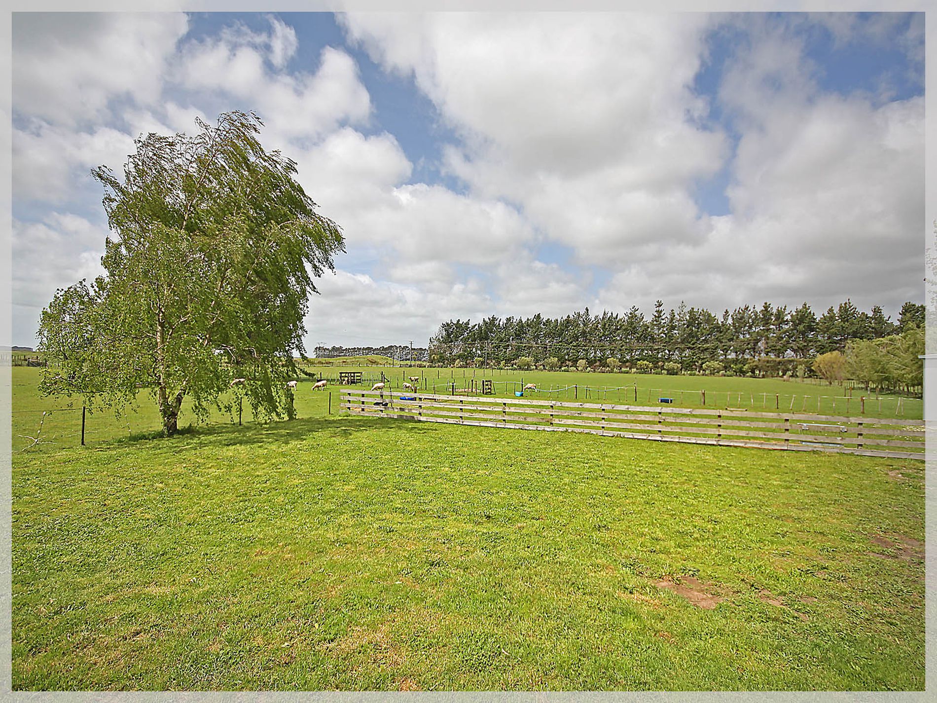 296 Motuiti Road, Foxton