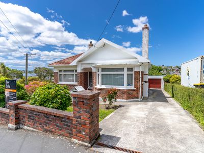 6 Chapman Street, Wakari