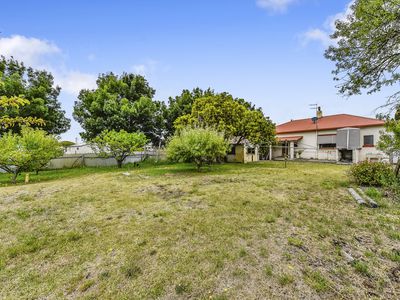 112 Williams Road, Millicent