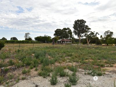 44 Shadforth Street, Oxley