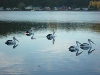 15 / 30 Balmoral Road, Burrill Lake