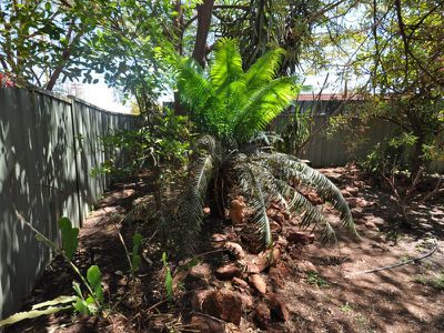 30 Nyabalee Road, Newman