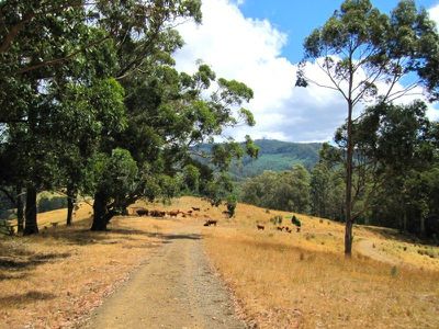 Office HUON / Highway, Dover