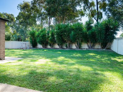 12 WINNELL COURT, Thurgoona