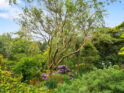 211 Signal Hill Road, Opoho