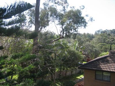 2 Gellatly Ave, Figtree