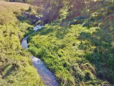 491 Back Creek Road, Lochiel