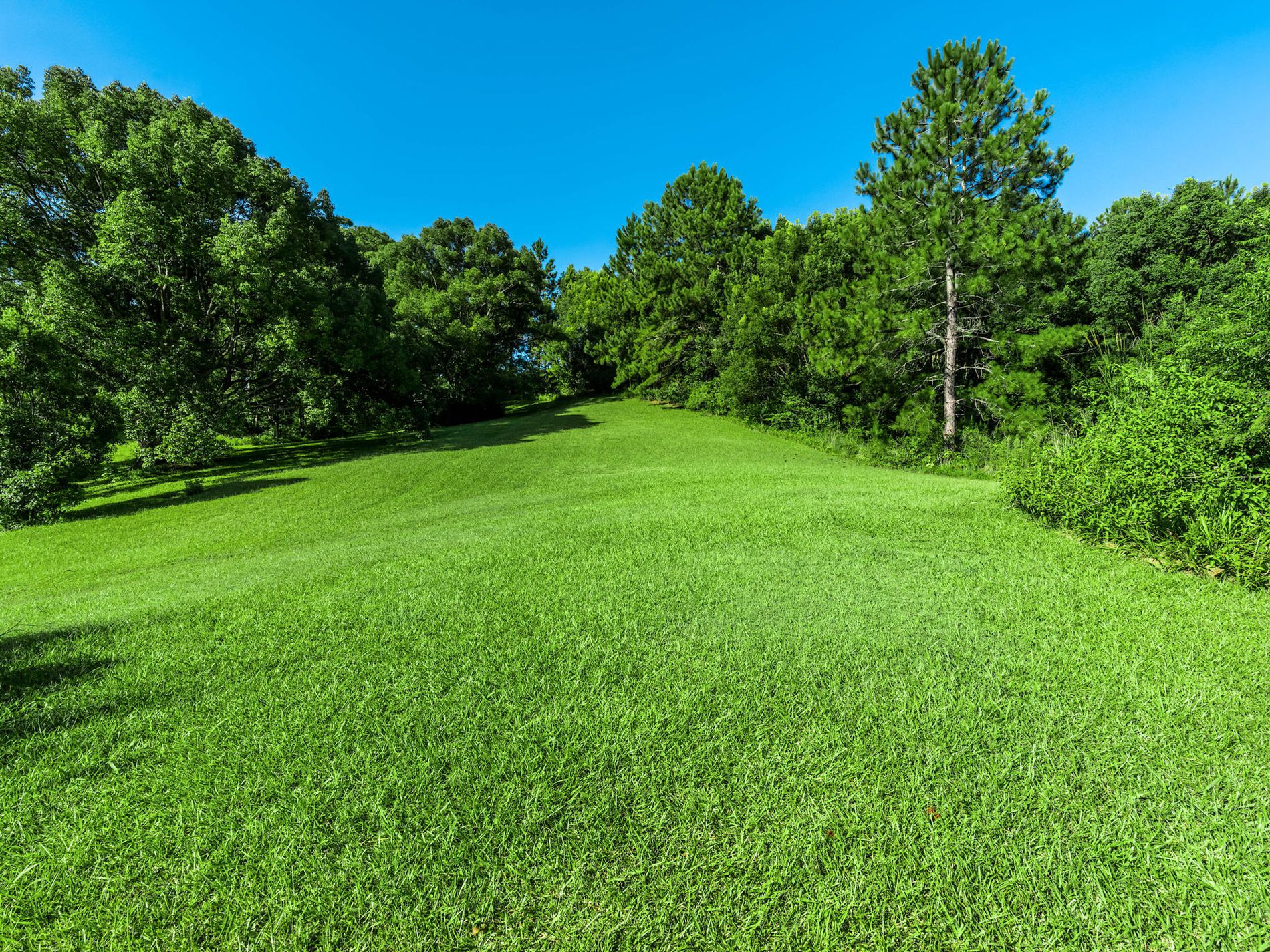 111 FOWLERS LANE, Bangalow