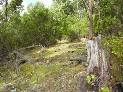 692 Bermuda Road, Glen Huon