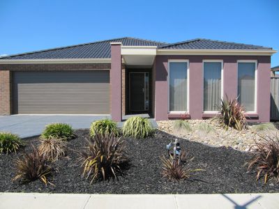 10 Hydrangea Drive, Point Cook