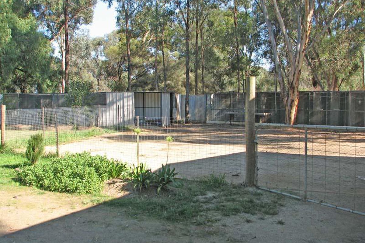 2460 Echuca Mooroopna Road, St Germains