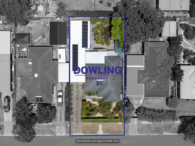 22 Silver Wattle Drive, Medowie