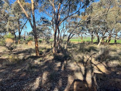 18  MANNING ROAD, Quairading