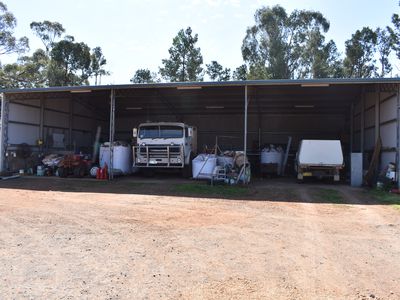 3166 Back Trundle Road, Parkes