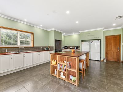 217 ROCKY CAMP RANGE ROAD, ROCKY CAMP, Millicent