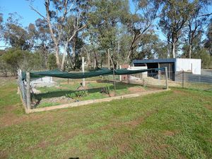 6-8 Namoi  Street, Boree Creek