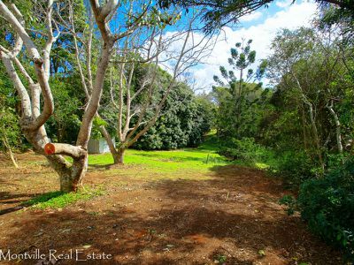 144 Balmoral Road, Montville