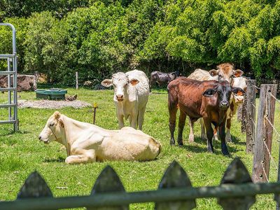 160 Tandys Lane, Brunswick Heads