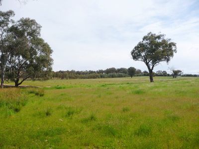 Pilot View South Beechworth-Chiltern Road, Chiltern