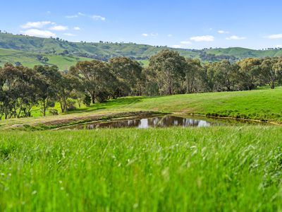 1511 Lake Road, Bethanga