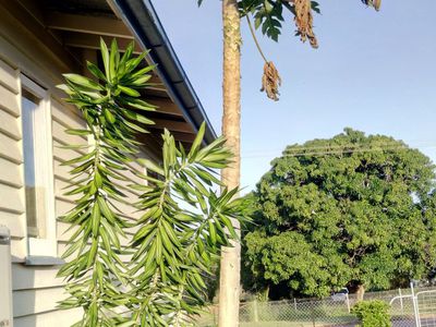 8 Lucey Street, Mount Garnet