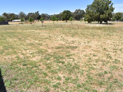 11 Cheney Road, Parkes