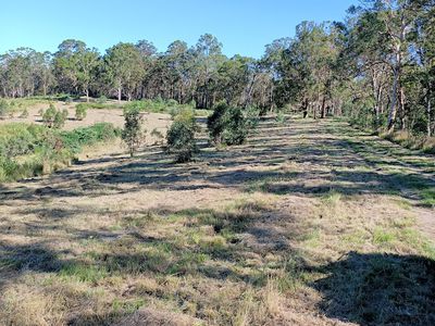 702 Comboyne Road, Byabarra