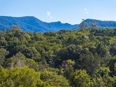 95 ANDERSON ROAD, Nimbin
