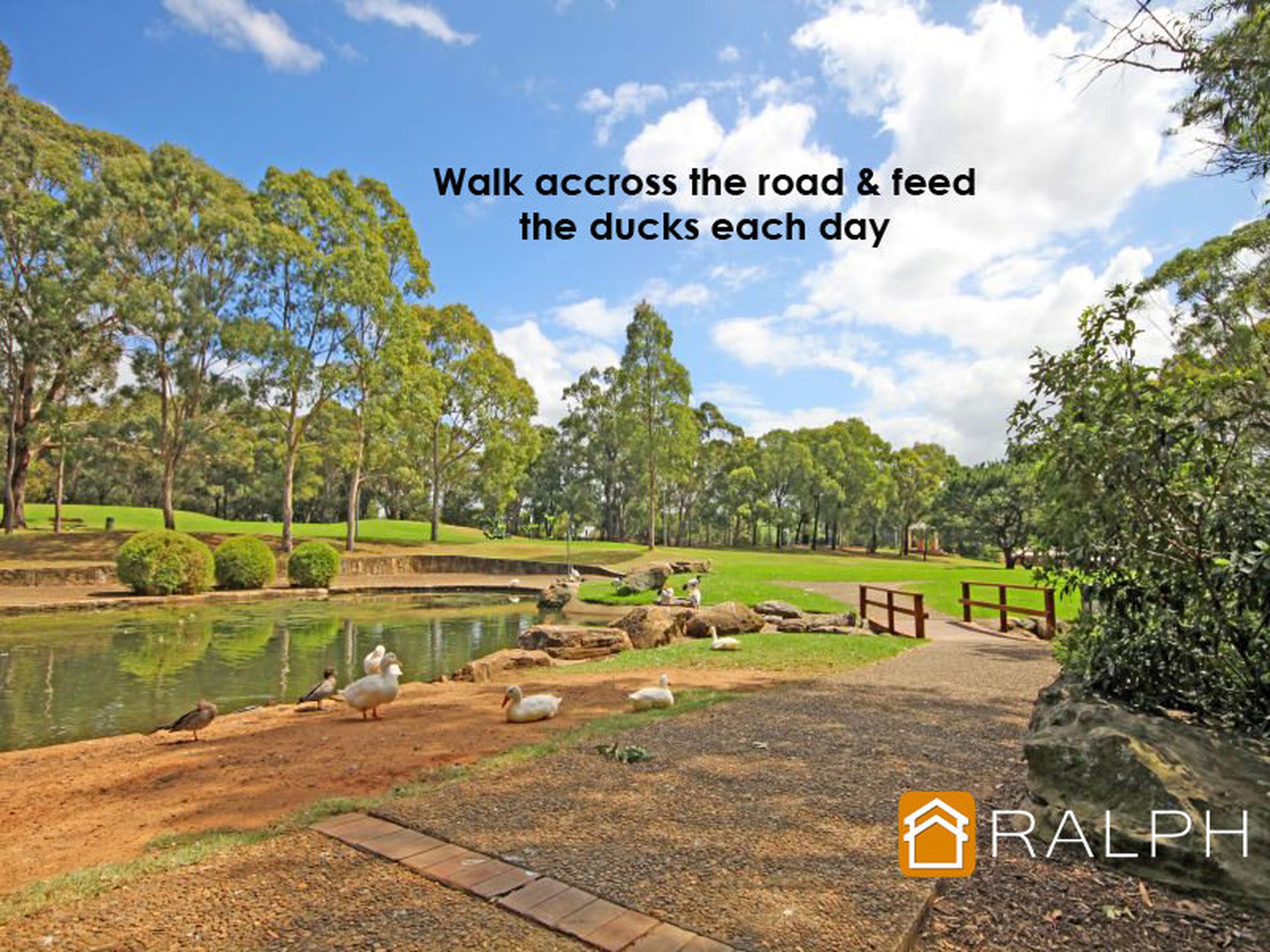 6 / 20 Clio Street, Wiley Park