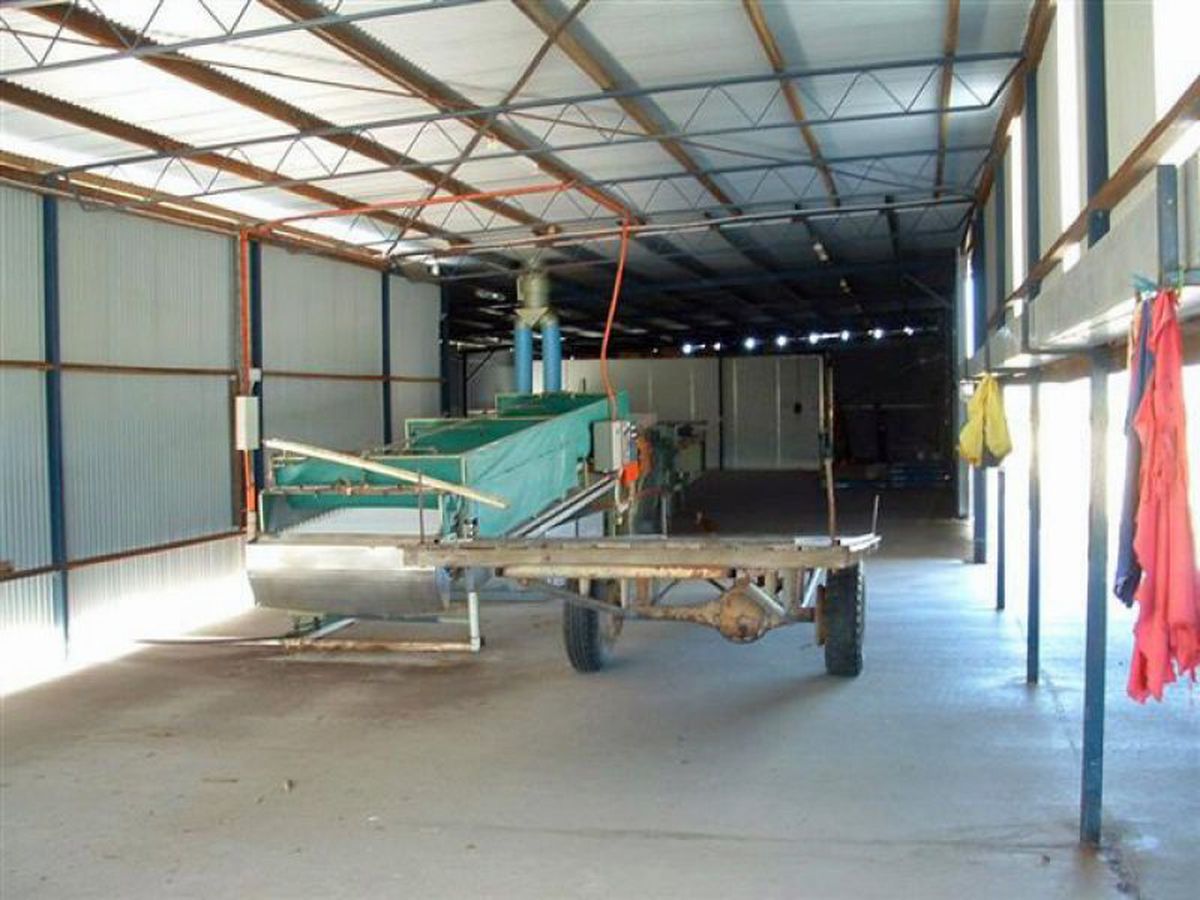 Mareeba