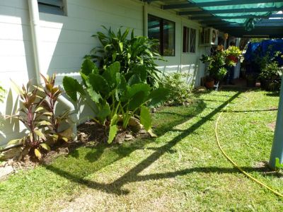 3 / 23 Walker Street, Cooktown