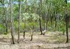 828 Mount Aquila Road, Mount Aquila