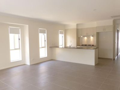 14 Ackerman Avenue, Tarneit