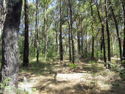 53 Biddulph Street, Eraring