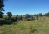 Molong