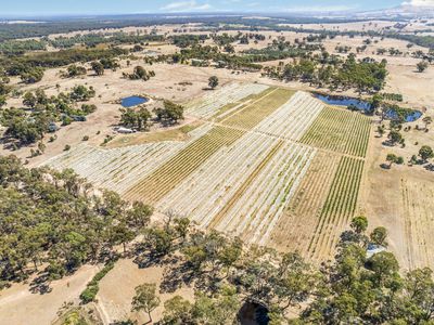 1081 Schoolhouse Lane, Heathcote