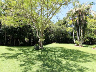 47 Carmona Drive, Forster