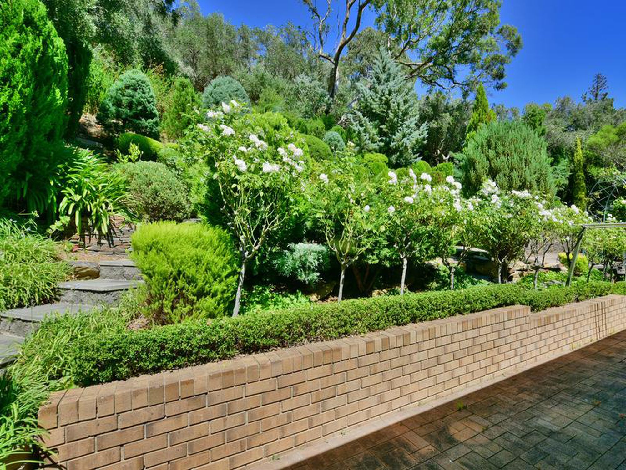 22 Wyfield Street, Wattle Park